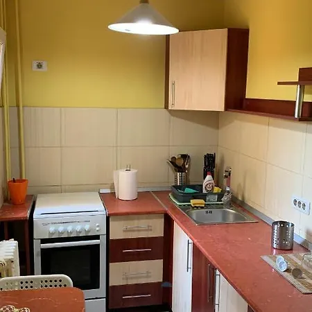 Aa Studio Near Iulius Mall *