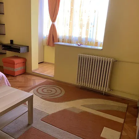 Apartment Aa Studio Near Iulius Mall *